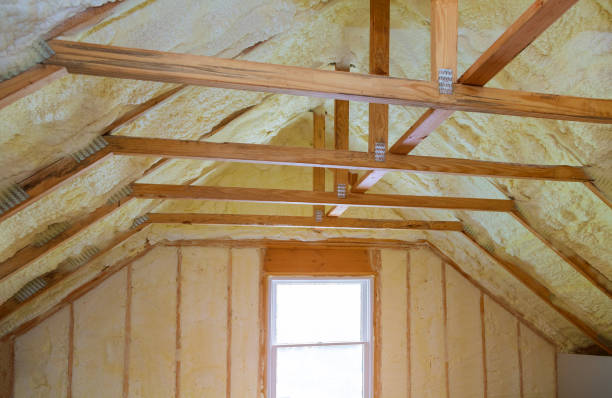 Best Insulation Contractors for Homes  in USA